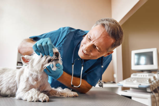Best Weekend Emergency Dentist in Prince George, VA